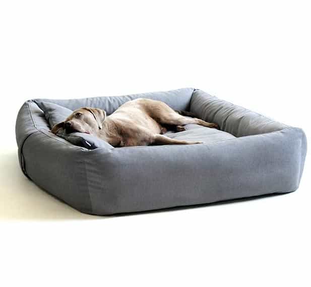 Matching dog head cushion for dog bed BOOX by pet-interiors.